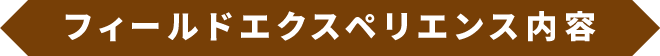 フィールドエクスペリエンス内容