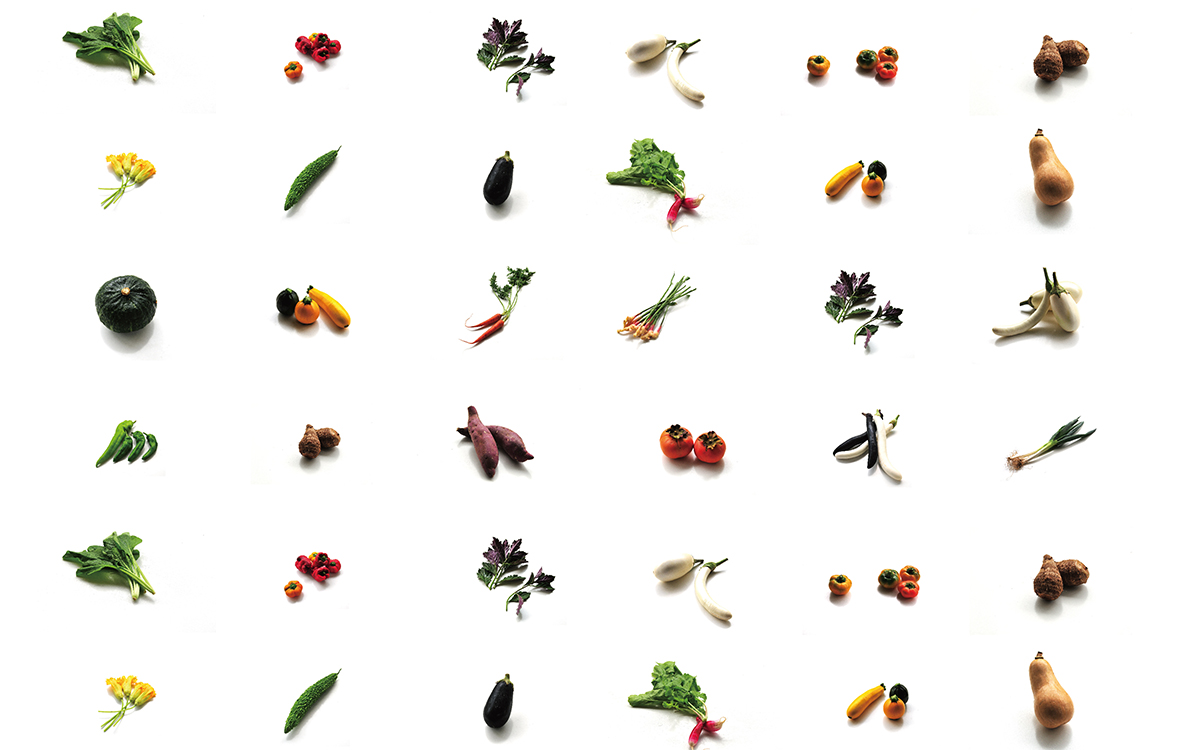 桜鏡 ミュゼオ御殿場 イベント情報 Touch Plus